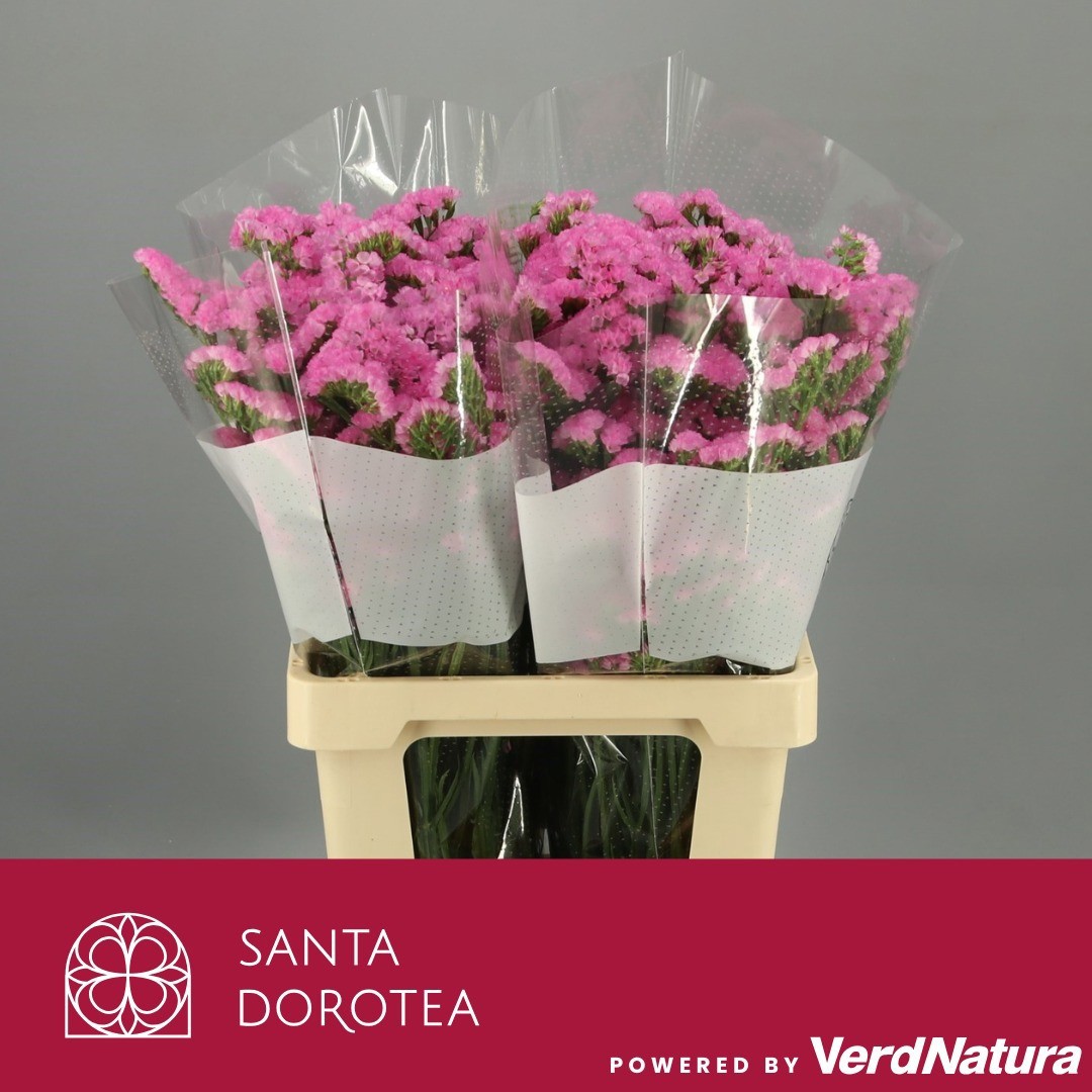 Статица Фантазия Вингз 70, шт.