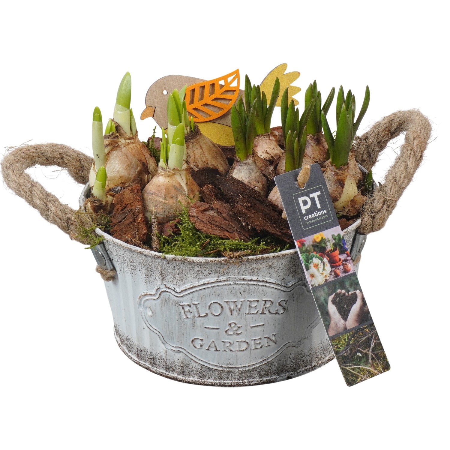 PTBM3768 Arrangement Flower Bulbs Mix in metalen pot, D 16