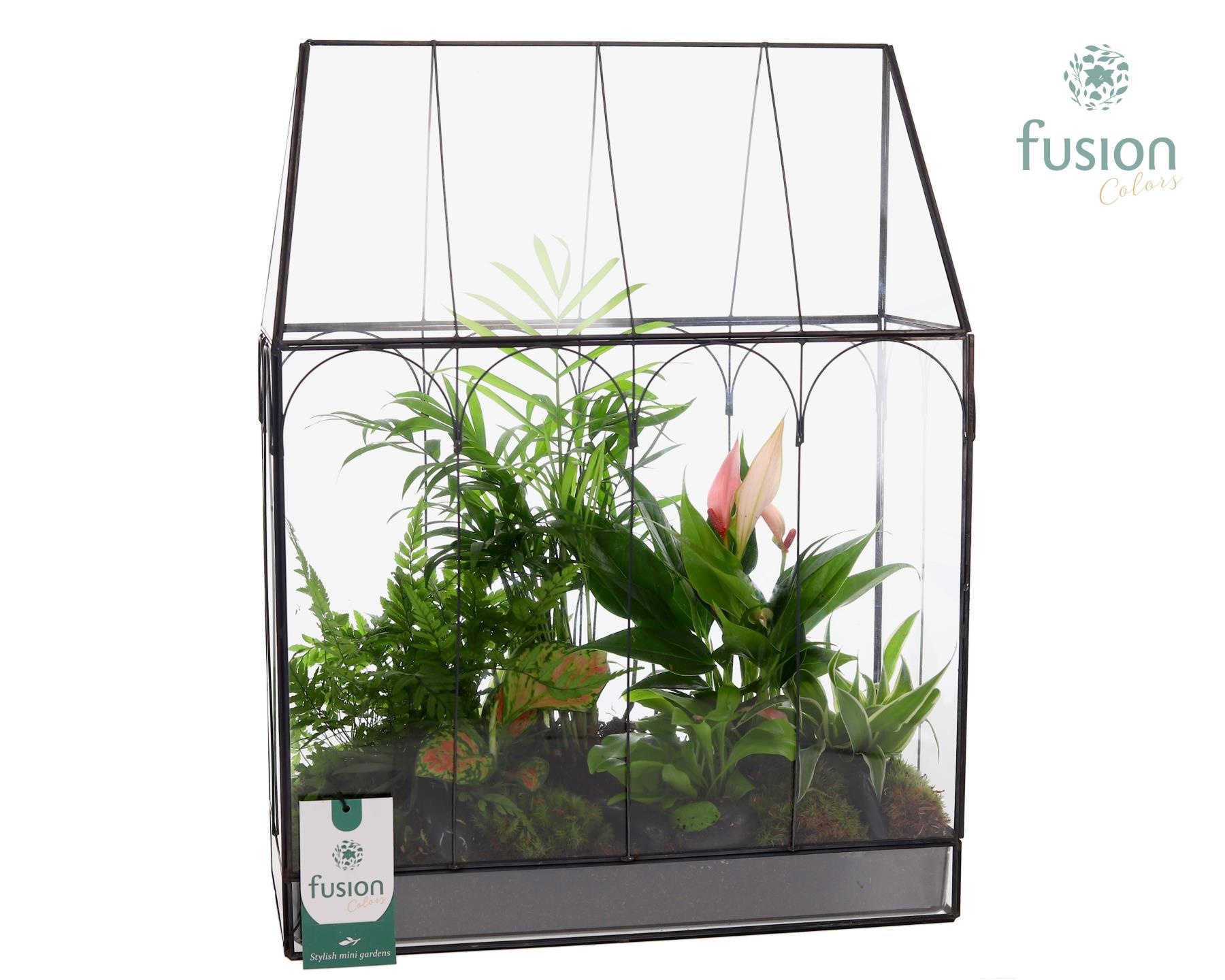 Metaal Geometrisch Large planter met Arrangement, D 30