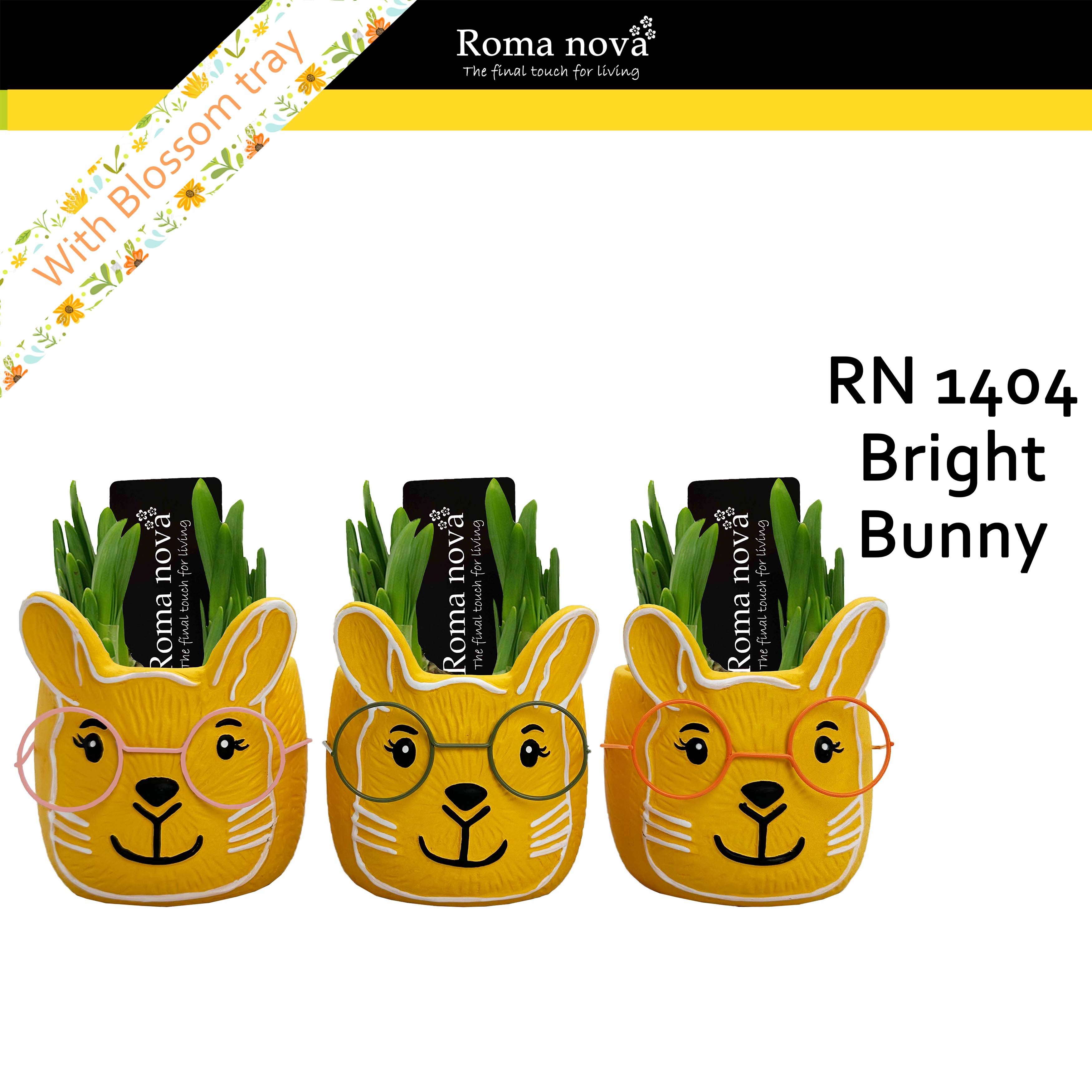 1404 - Bright Bunny (Tete a Tete), D 11 cm