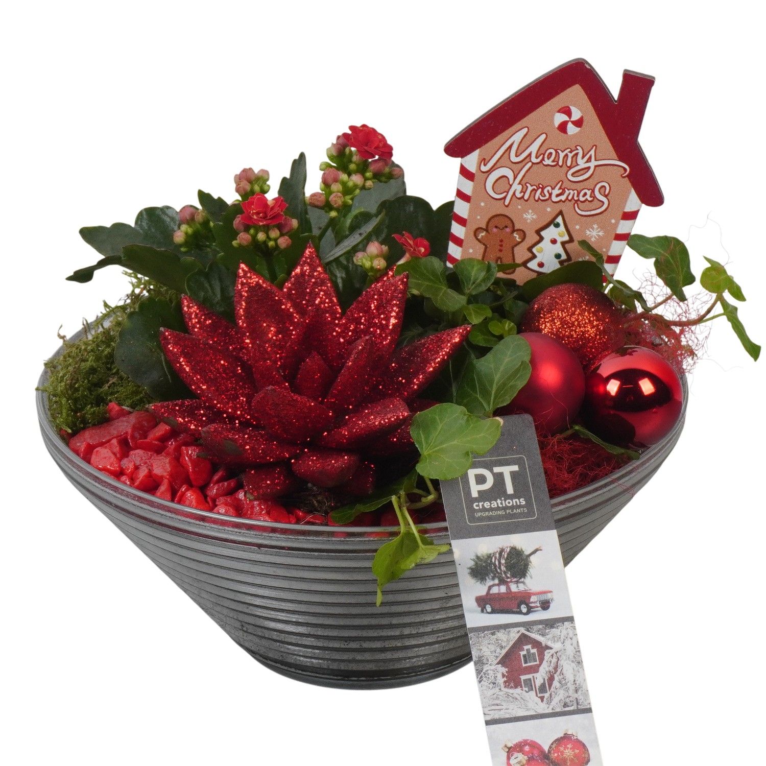 PTCHR7419 Arrangement Christmas Red in glas schaal, D 19 cm