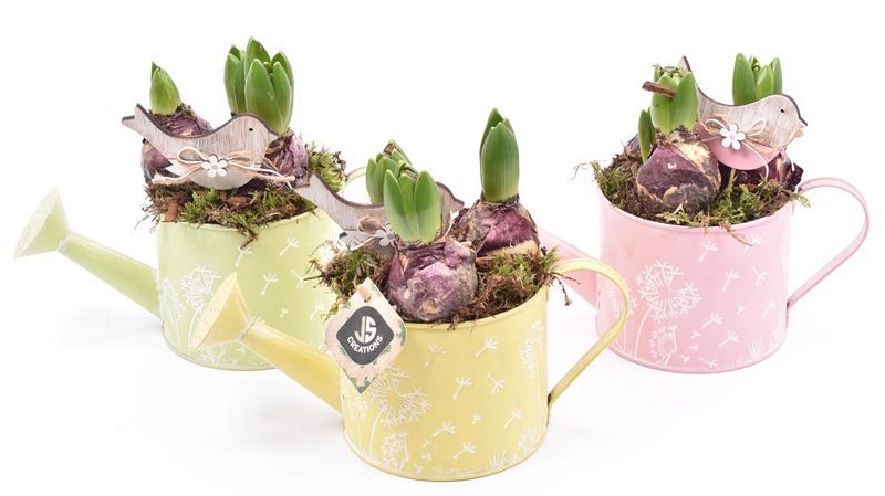 Zink gieter decor mix 13cm, D 13