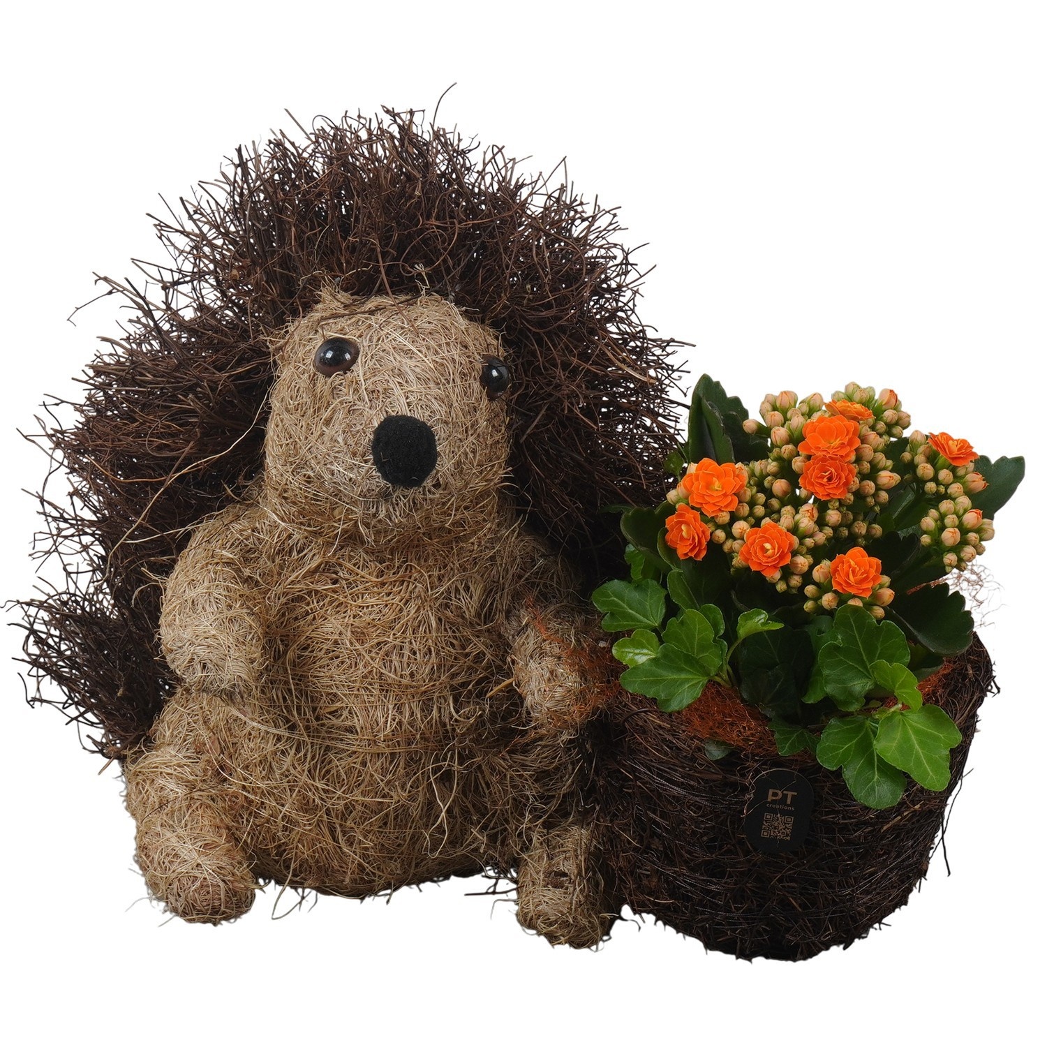 PTHI3332 Arrangement Autumn Indoor in rieten pot in egel vorm, D 25