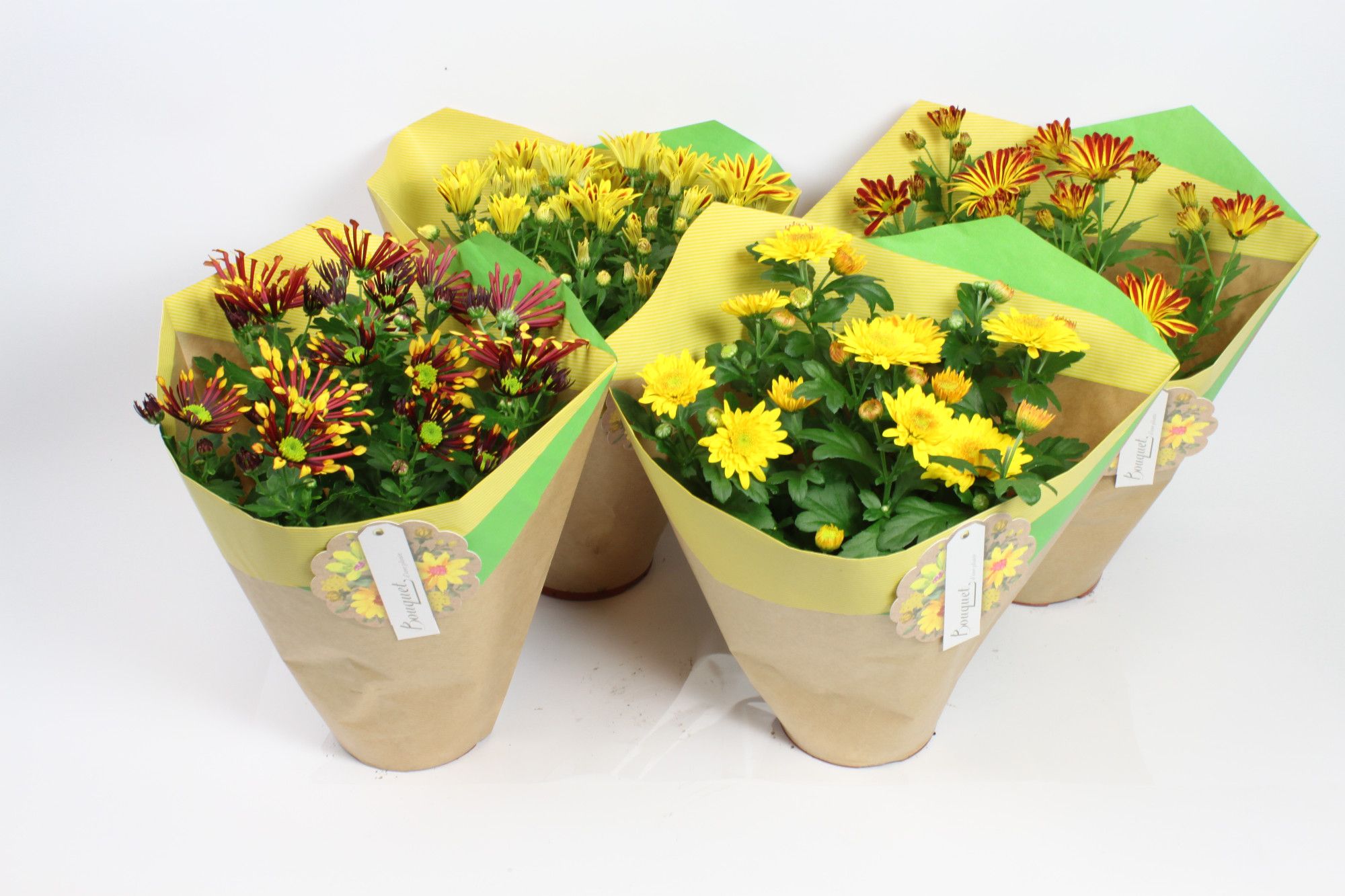 Papier Duo hoes geel 14 cm, D 14