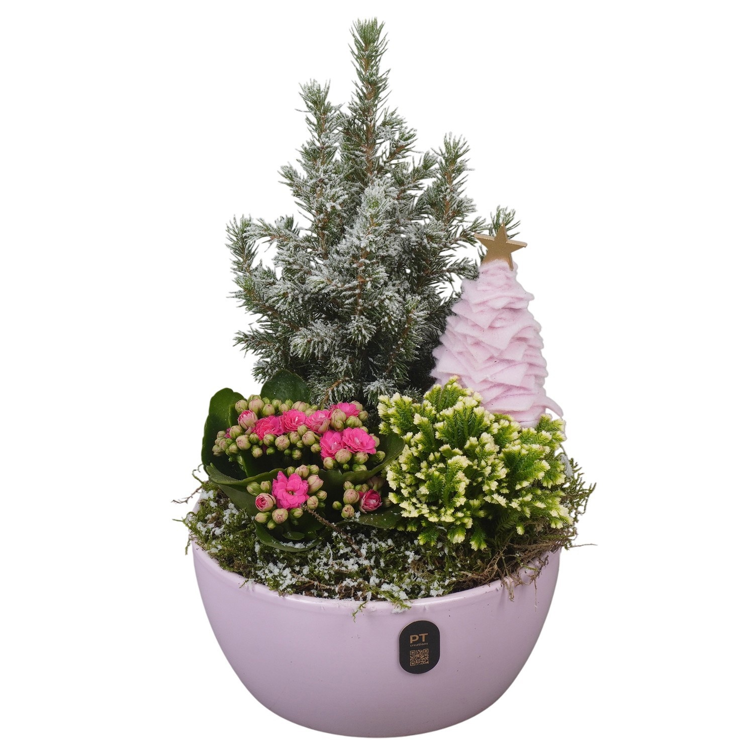 PTCHP8421 Arrangement Christmas Pink in keramiek schaal, D 18