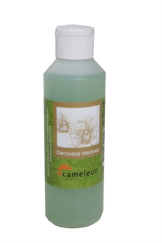 Orchidee voeding, D 25 cm