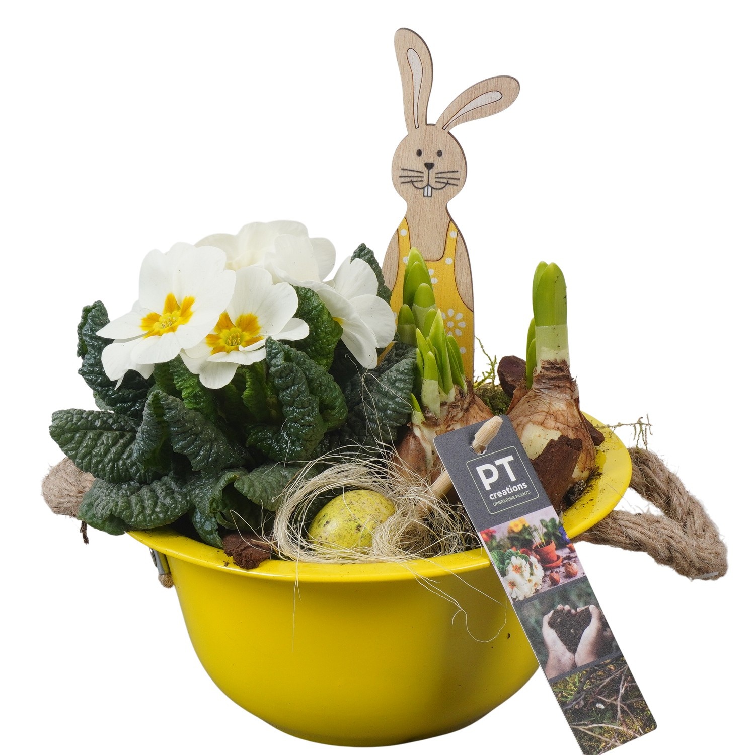 PTBMP5604 Arrangement Easter Bulbs Mix in zink schaal, D 18