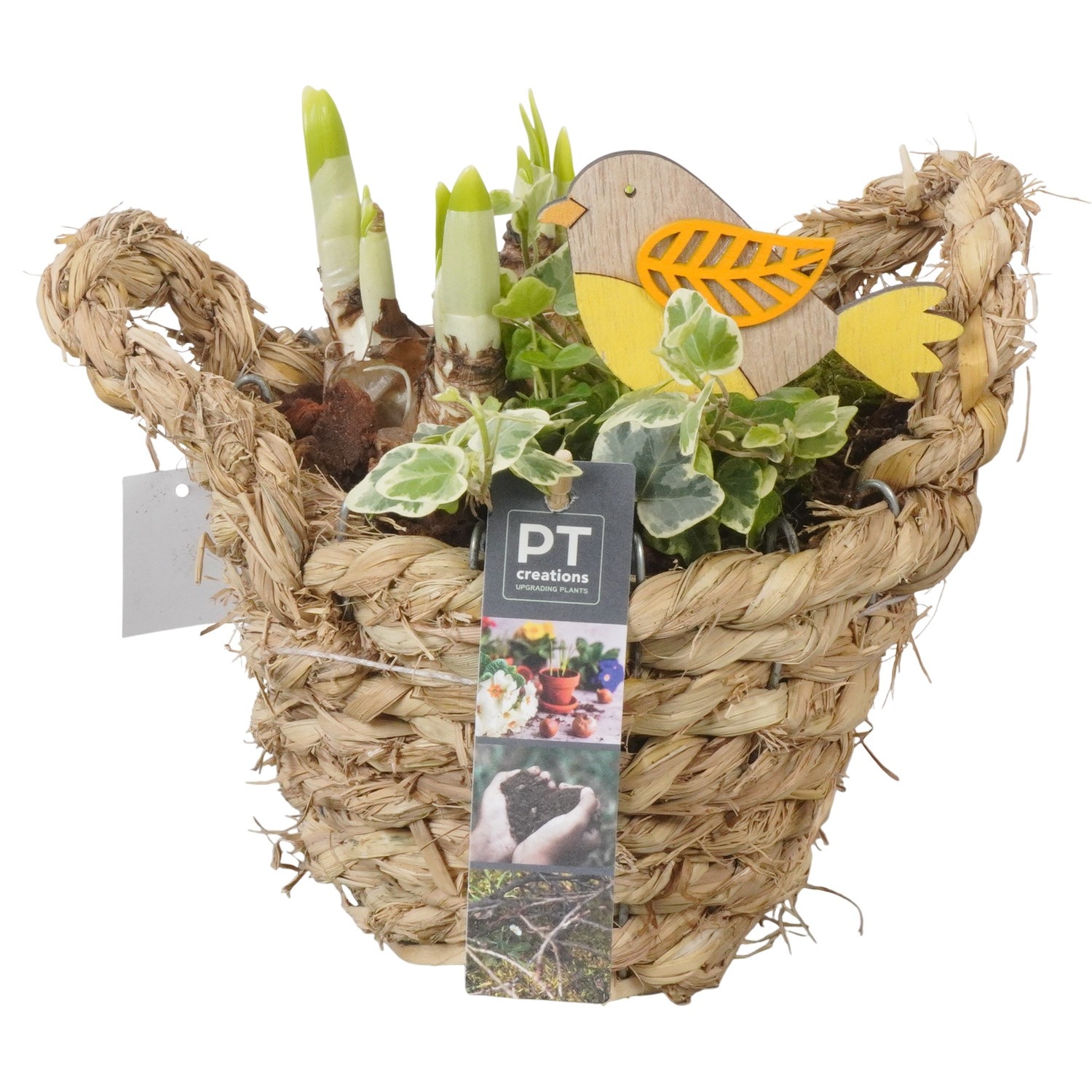PTBM3835 Arrangement Flower Bulbs Mix in rieten mand, D 15