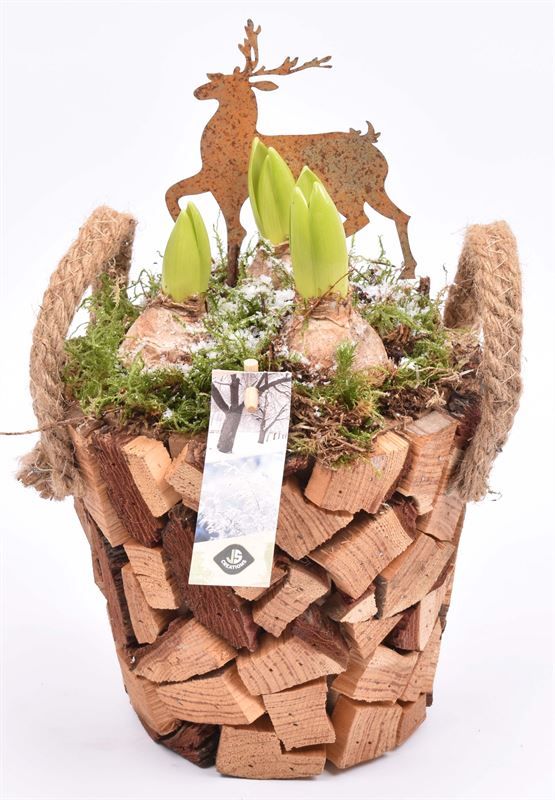 Hout pot natuur 17cm, D 17 cm Hout pot natuur 17cm, D 17 cm