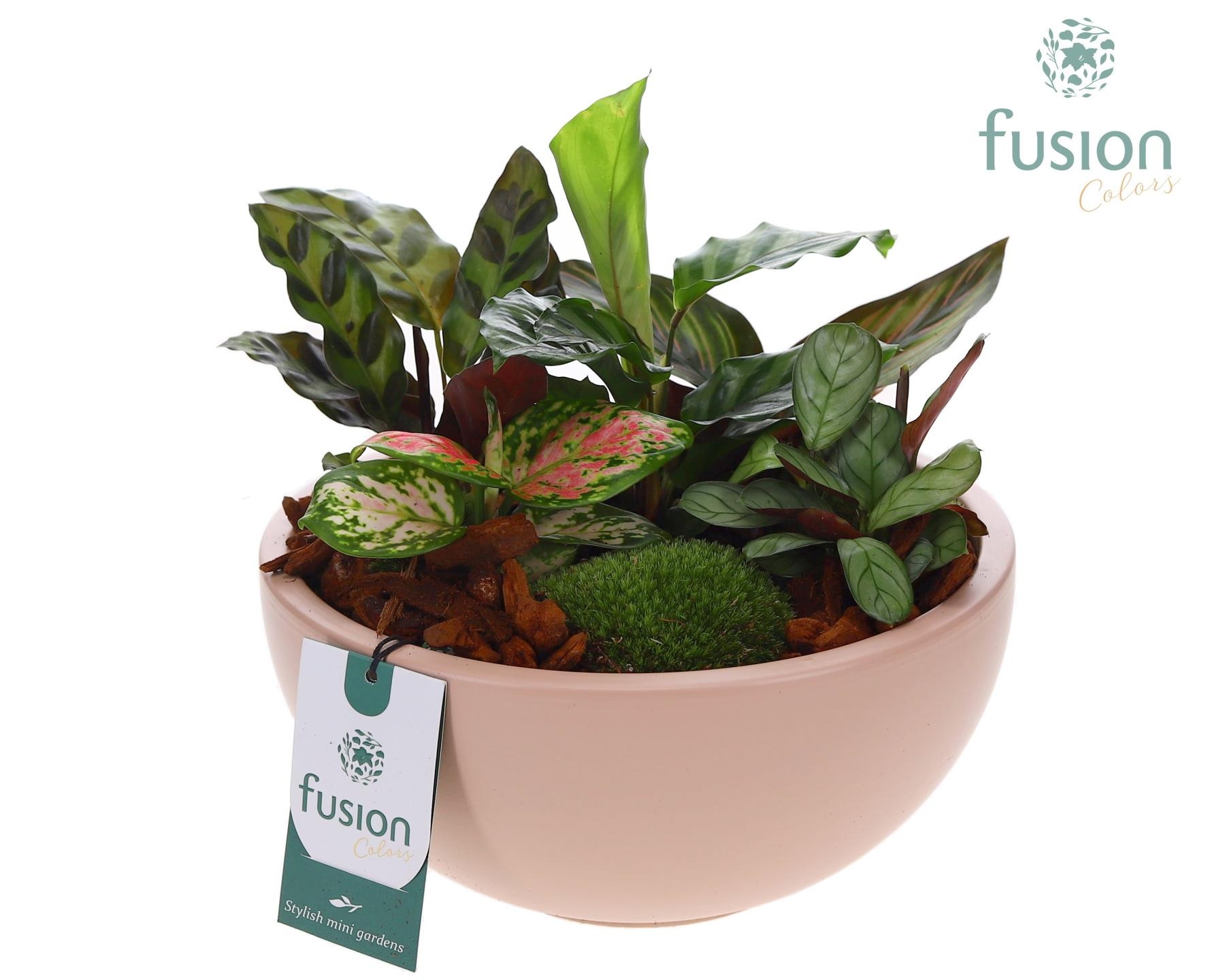 Schaal keramiek Moon Large blush pink met groene planten, D 18