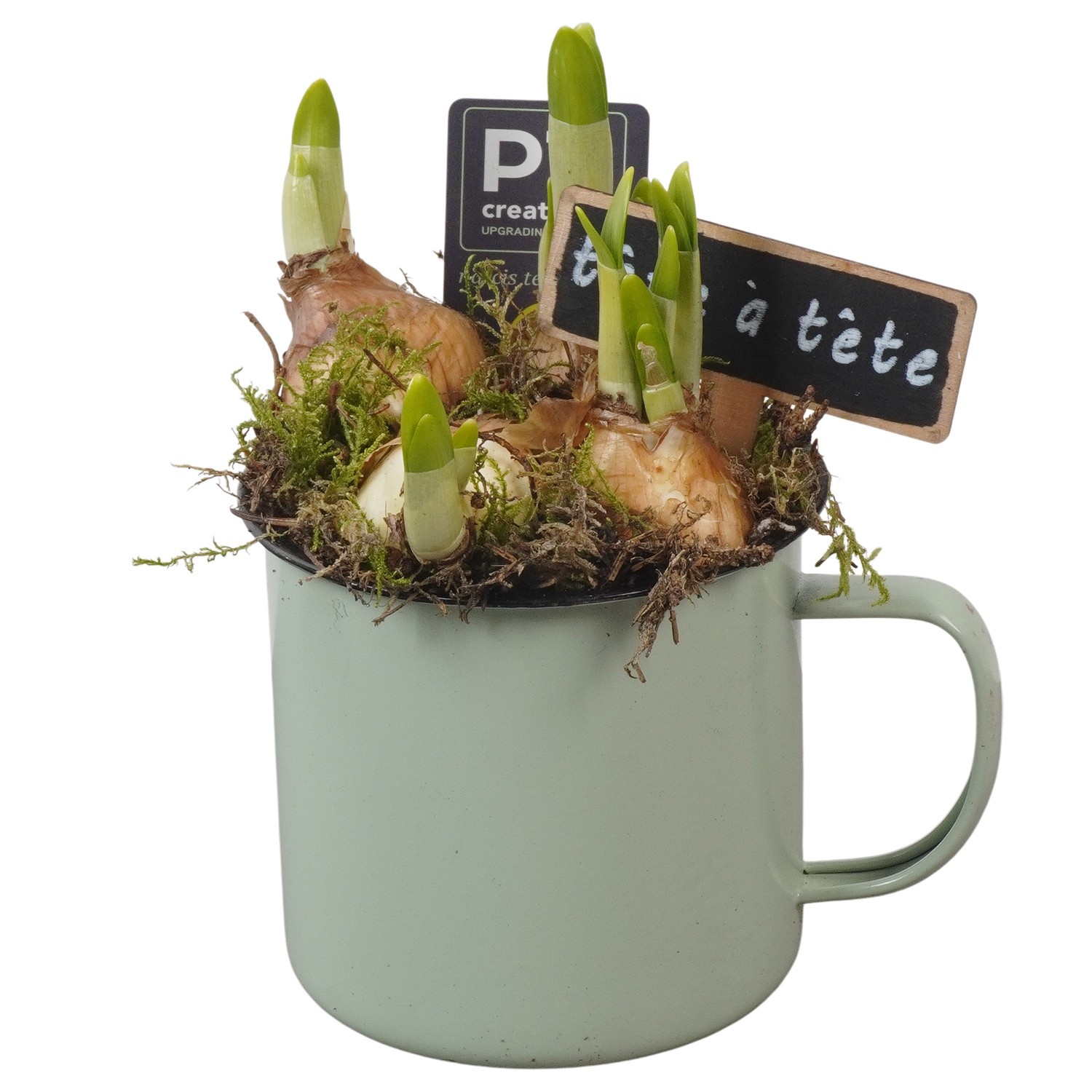 PTN8555 Arrangement Narcissus in zink pot, D 10