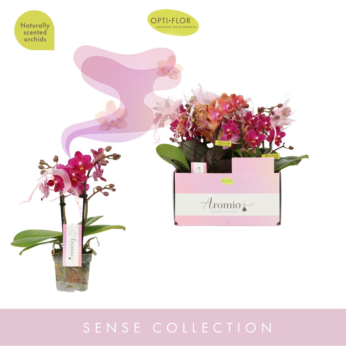 Aromio Mix 2 spike, D 7 cm