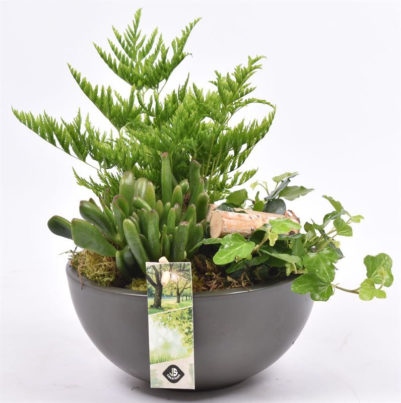 Keramiek schaal 18 cm groen, D 18