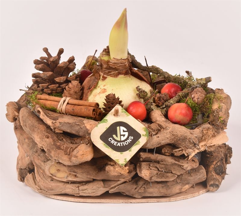 Druivenhout ovaal br. 25x18cm, D 25 cm