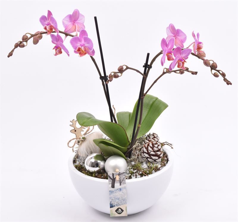 Keramiek schaal 18,5 cm glans wit, D 18 cm