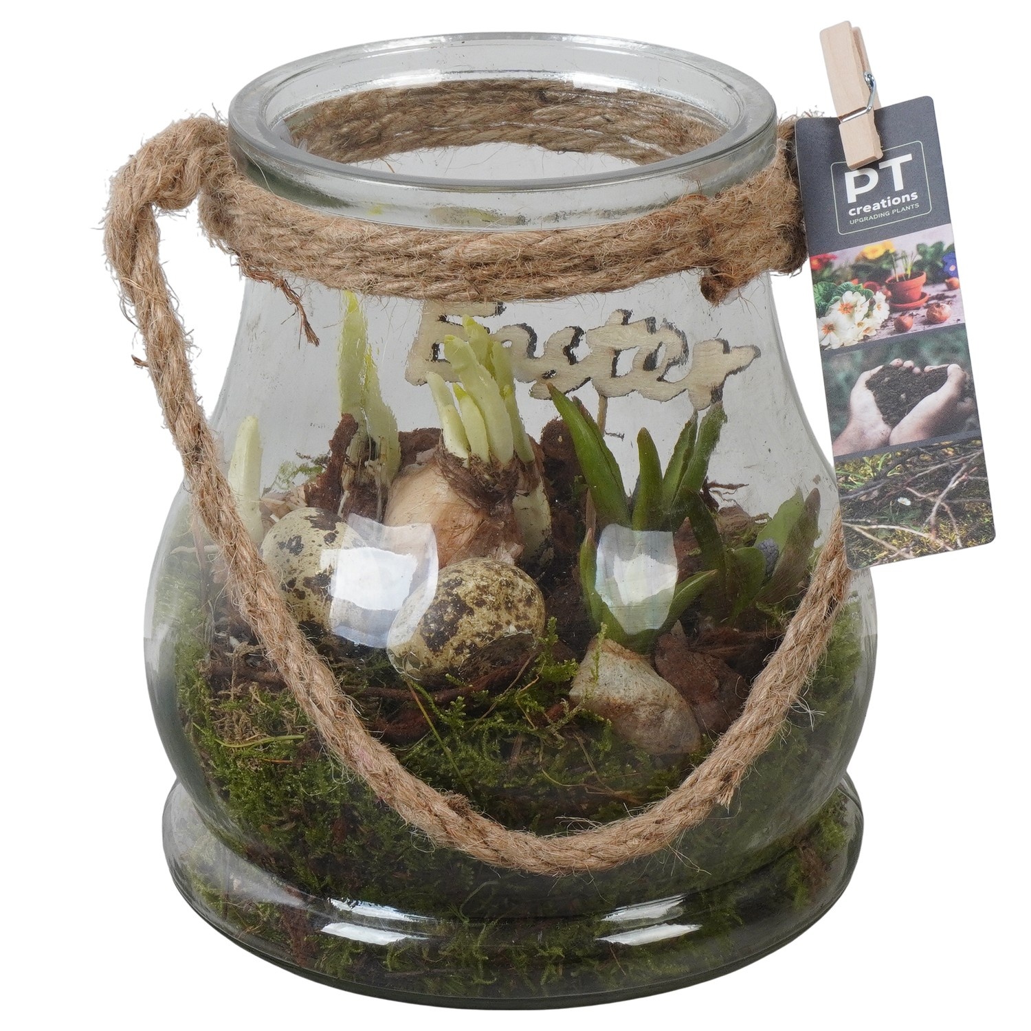 PTBMP5752 Arrangement Easter Bulbs Mix in glazen vaas, D 16