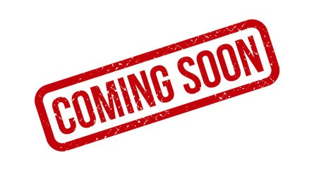 Calathea Silverstar, D 24