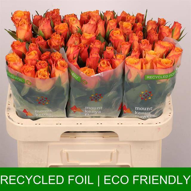 Роза од. Конфиденшиал 60, шт.