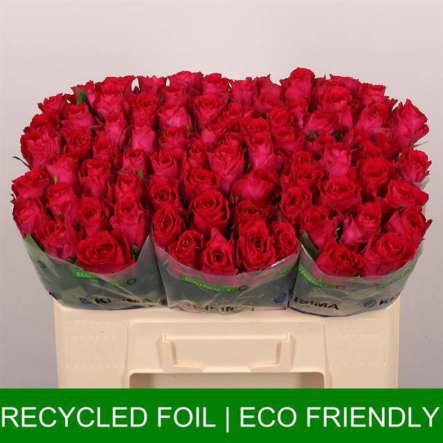 Роза од. Мадам Цериз 50, шт.