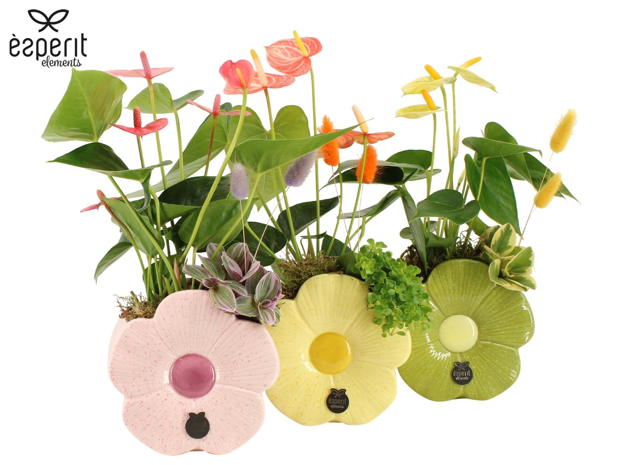 31802: Reinvention arrangement, D 14