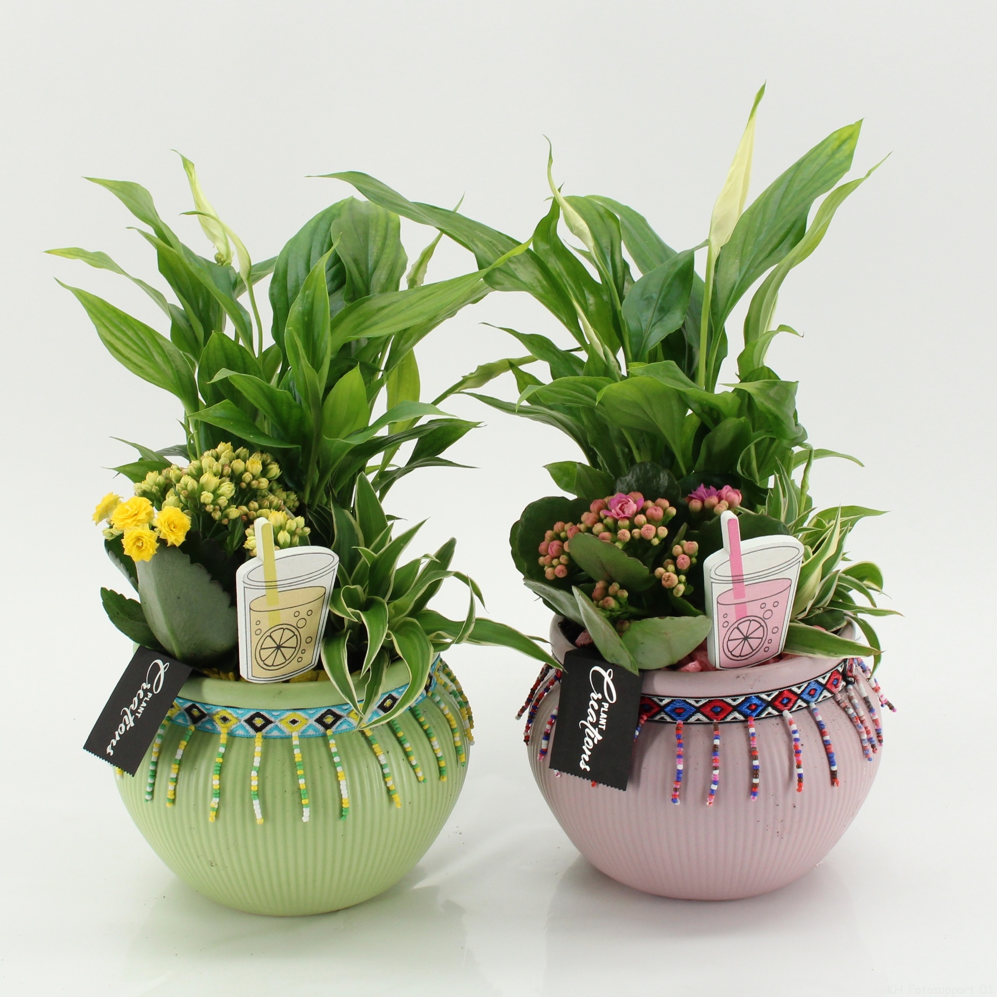 SECR-2618M Summer Essentials Colors, D 19