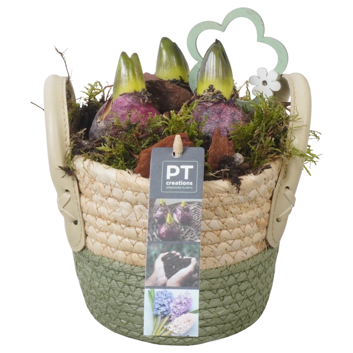 PTHC9159 Arrangement Hyacints in riet mand, D 14