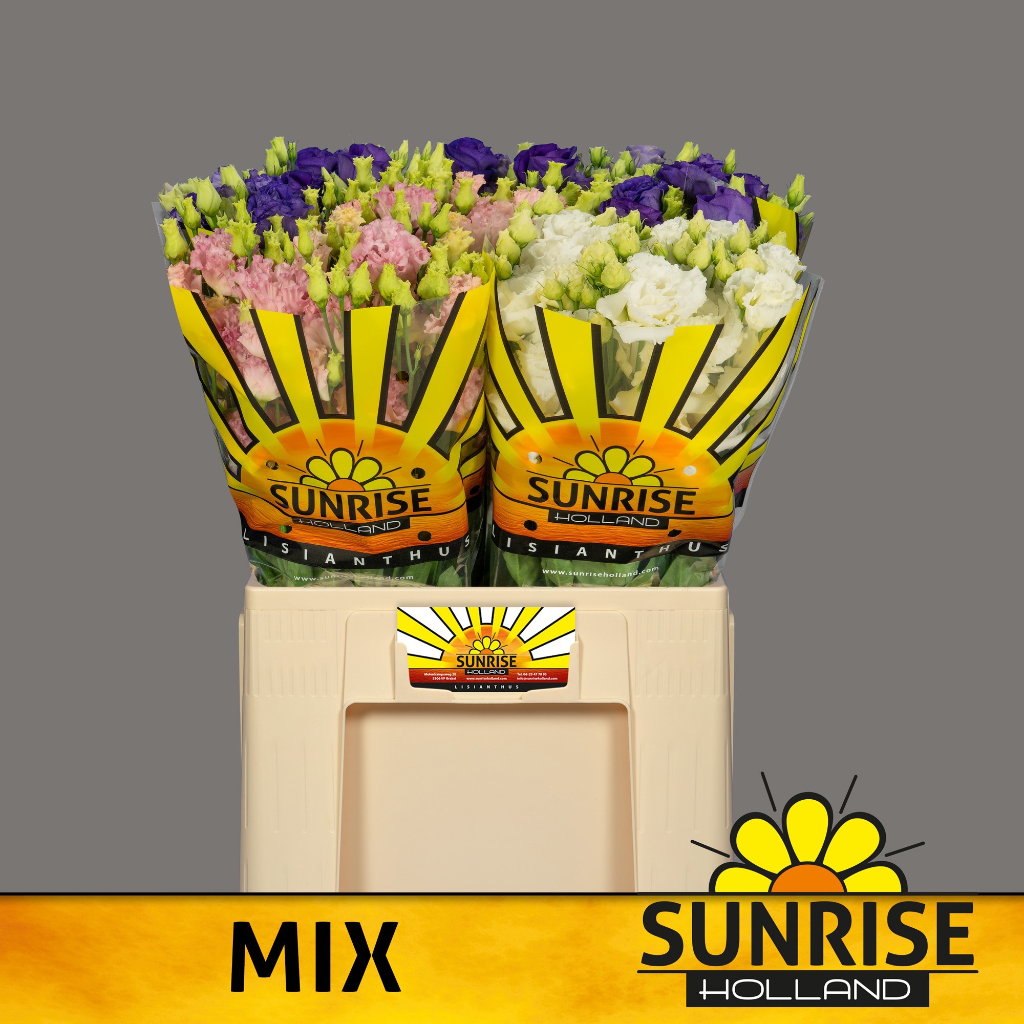 Эустома Грандифлорум Микс в баке 65, шт.