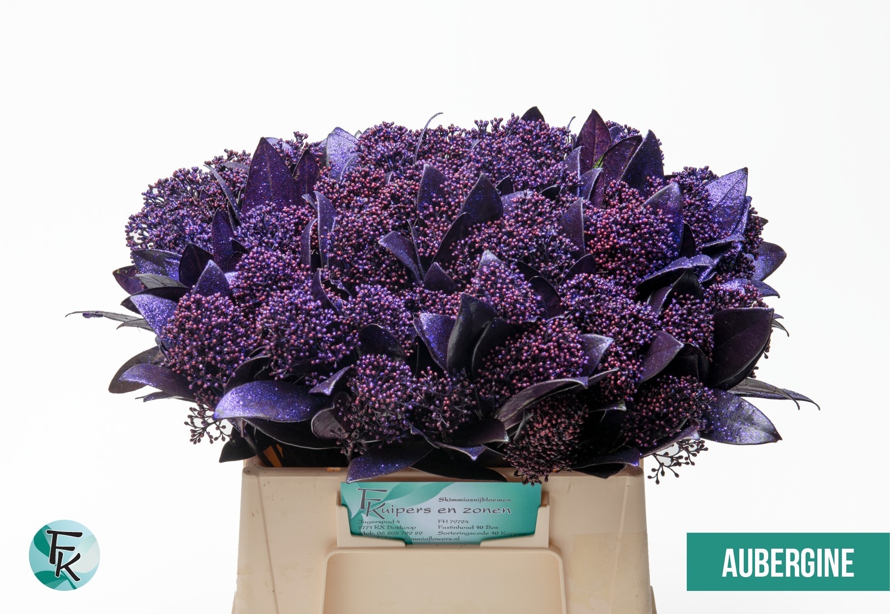 Скимия Овериг крашеный за пучок (краш. ) 45, пуч.