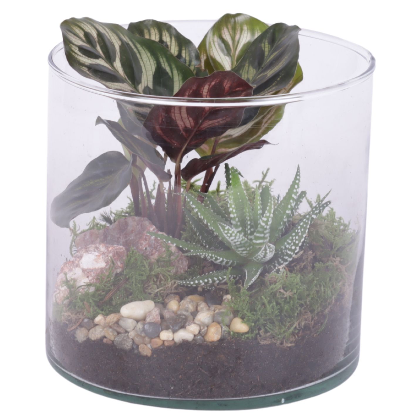 Yearround Arr. Indoor Glass Vase Cylinder Ø15cm 2PP, D 15 cm Yearround Arr. Indoor Glass Vase Cylinder Ø15cm 2PP, D 15 cm