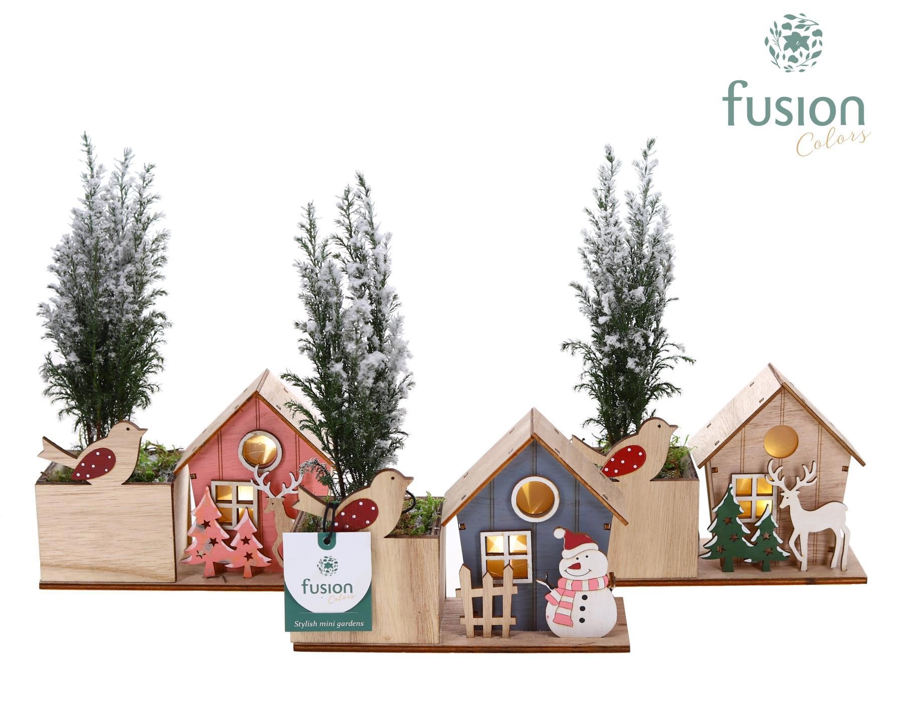 Kerst planter hout met verlichting met Chamaecyparis, D 18