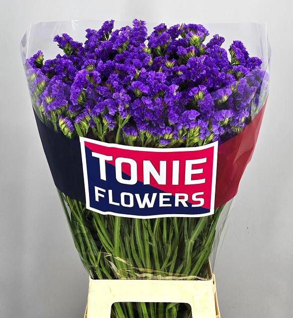 Статица Кристал Дарк Блю 80, шт.