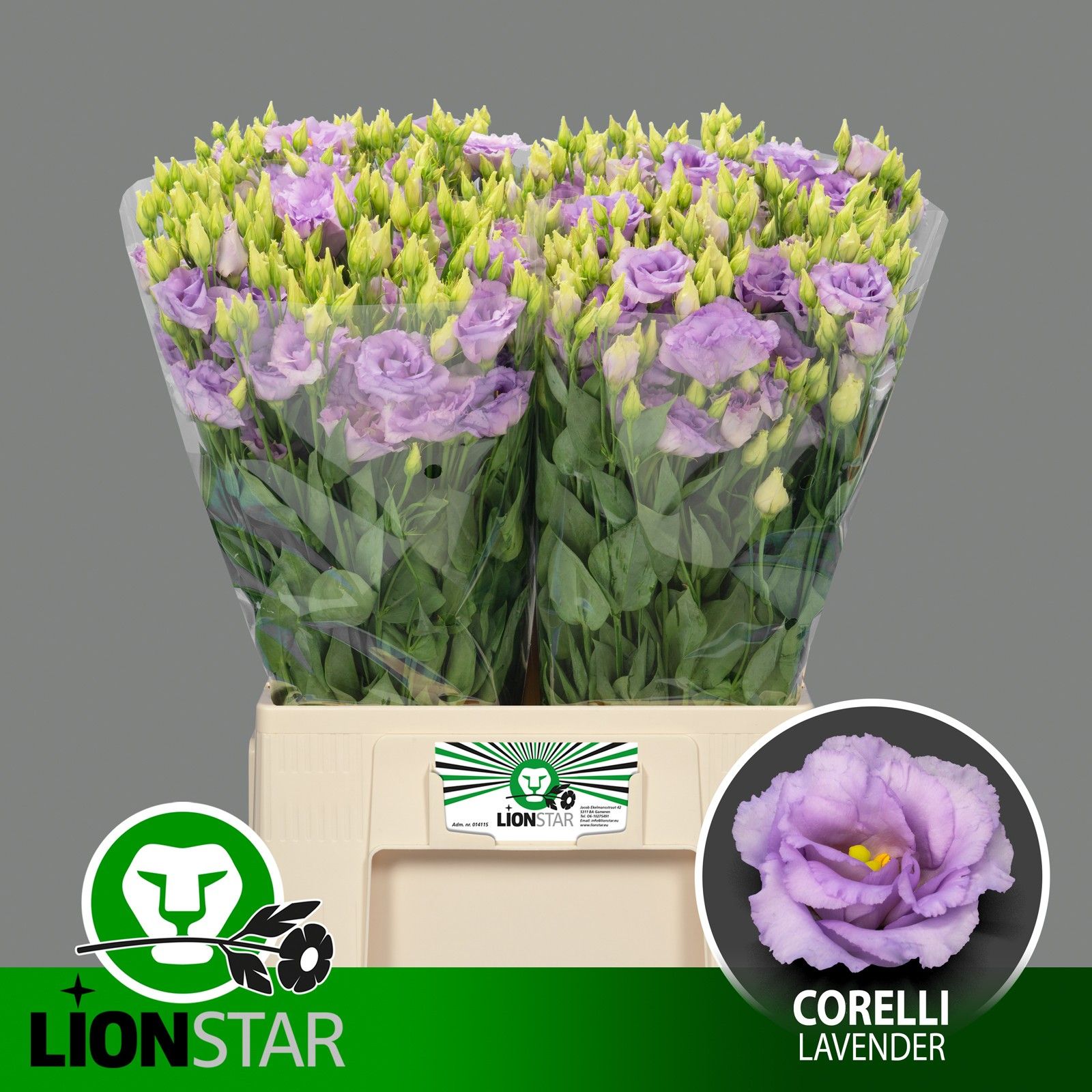 Эустома Корелли Лавендер 60 (лаванд.), шт.