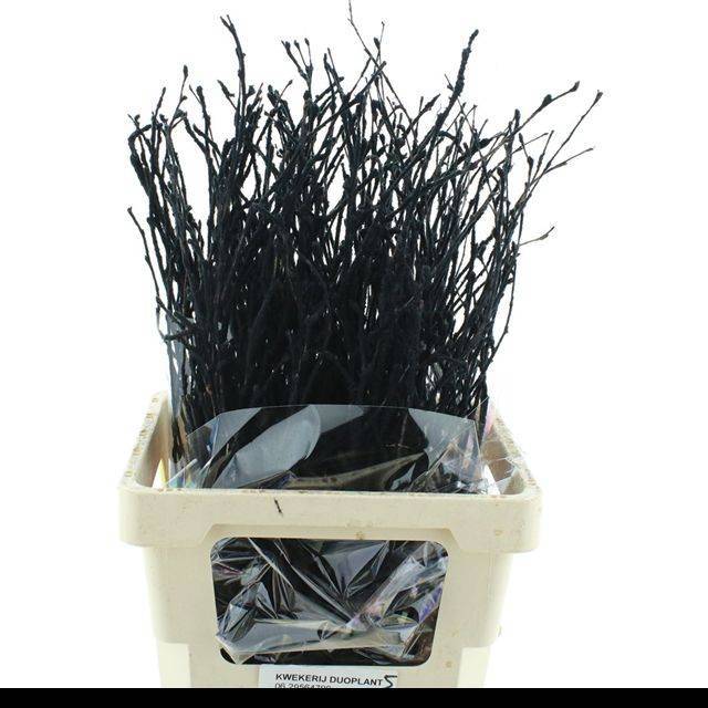 Беркетакен Овериг Крашеный (краш. ) 70, шт.