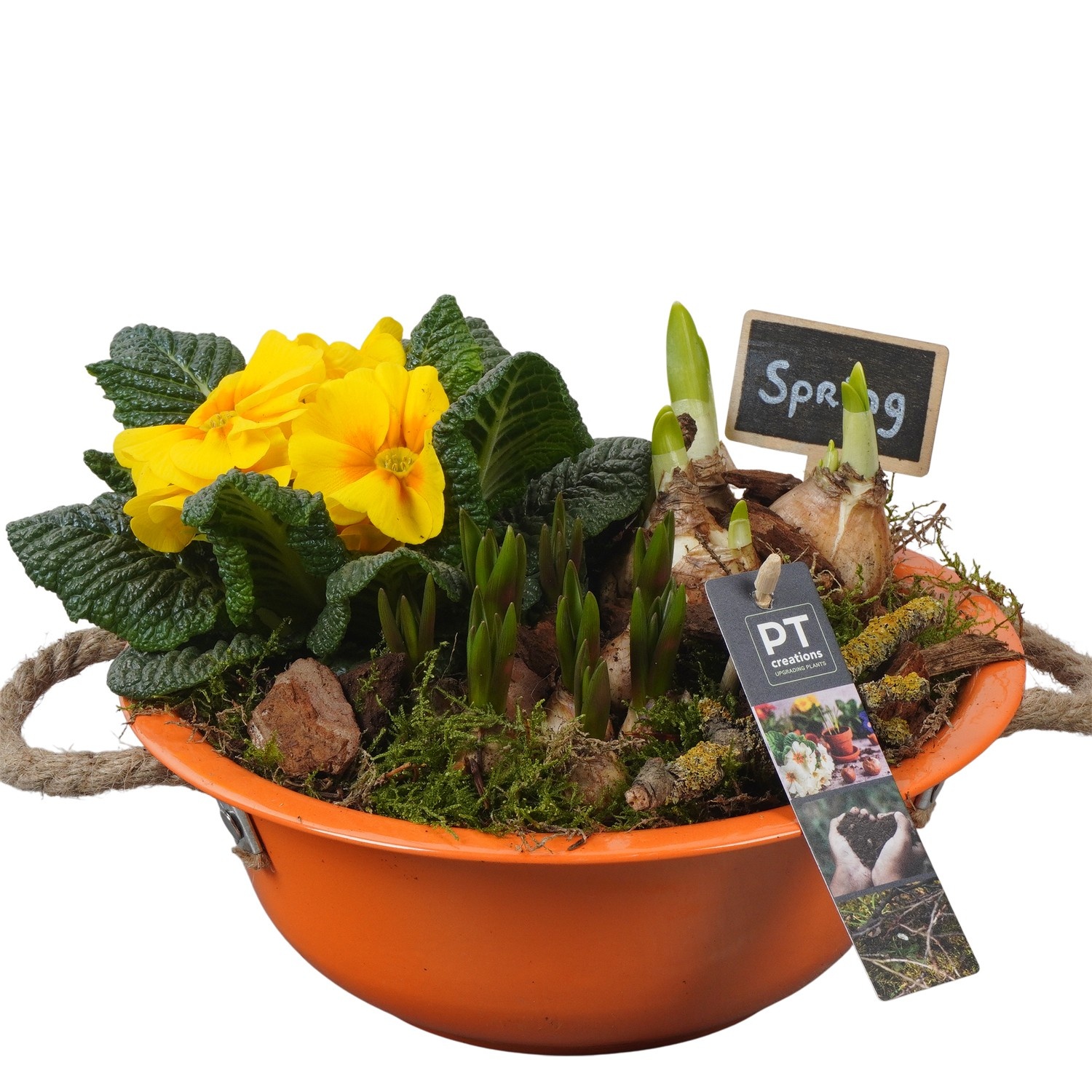 PTBM3708 Arrangement Flower Bulbs Mix in metalen schaal, D 24