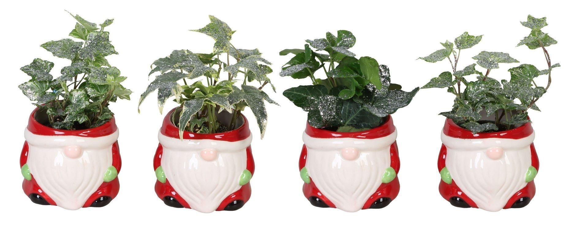 L 66449 With Hedera Helix Mix Glitter 6 cm, D 6