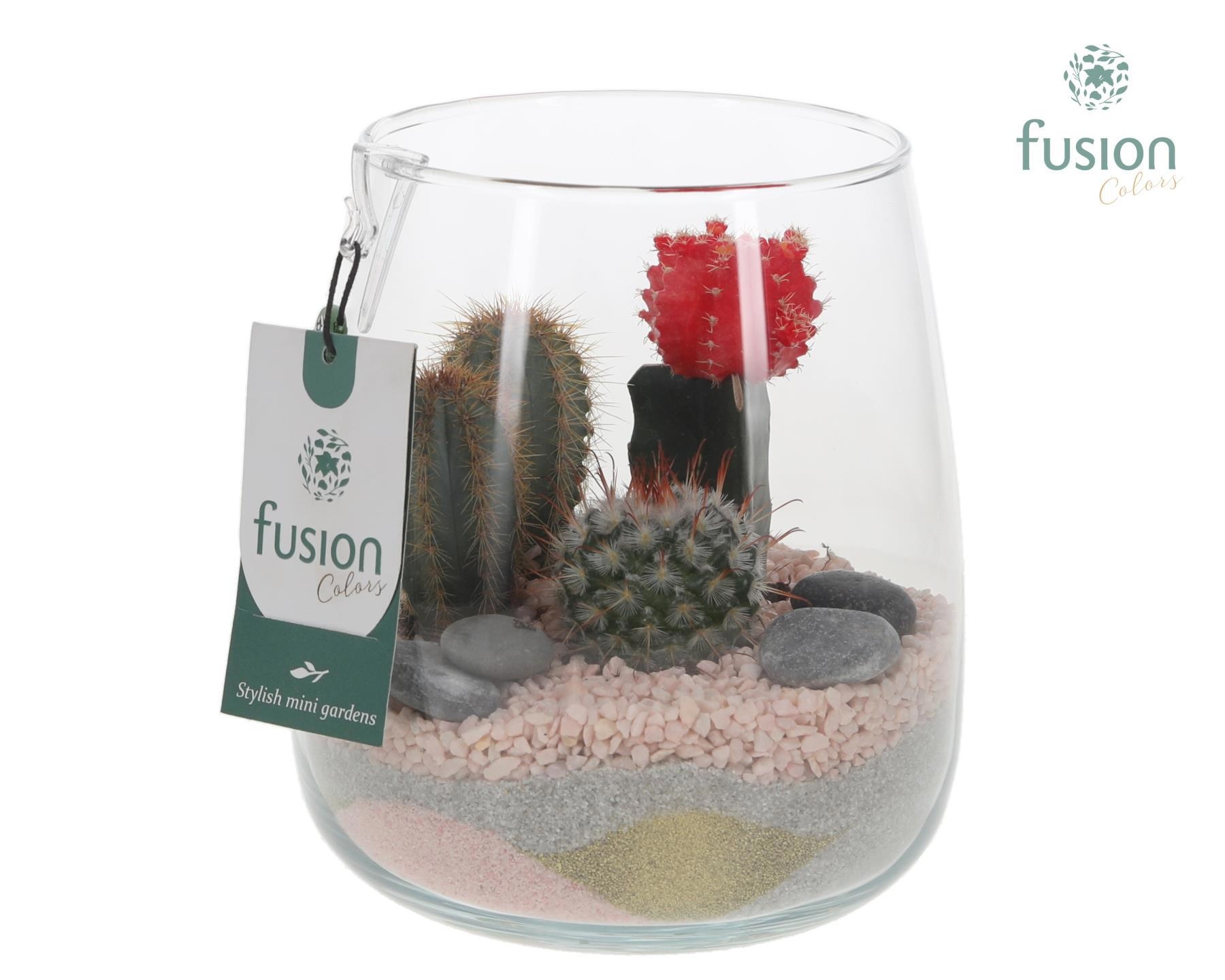 Glazen vaas Alzada met Cactus arrangement, D 15