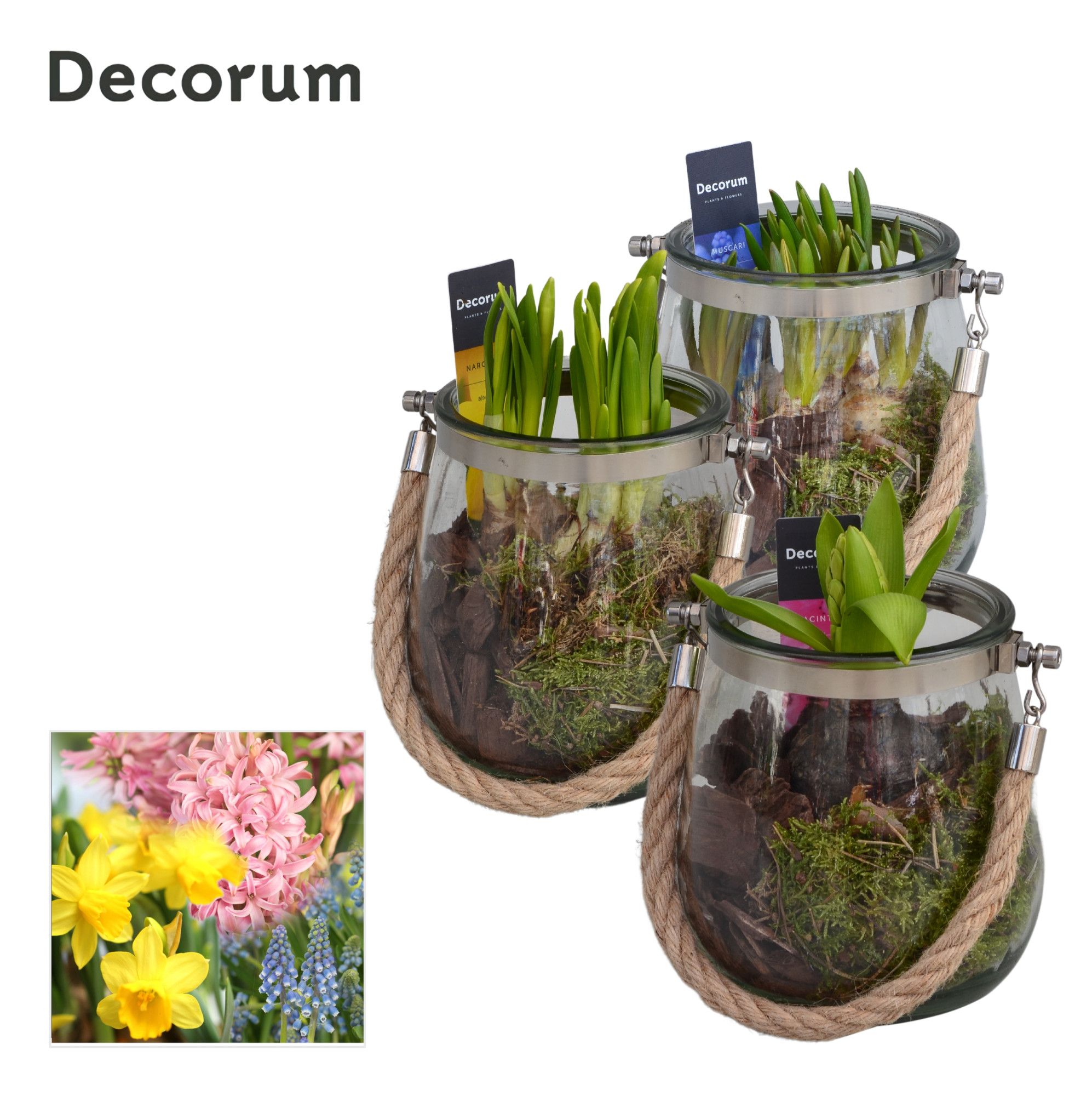 Bollenmix Glas met Touw HL13803B, D 13