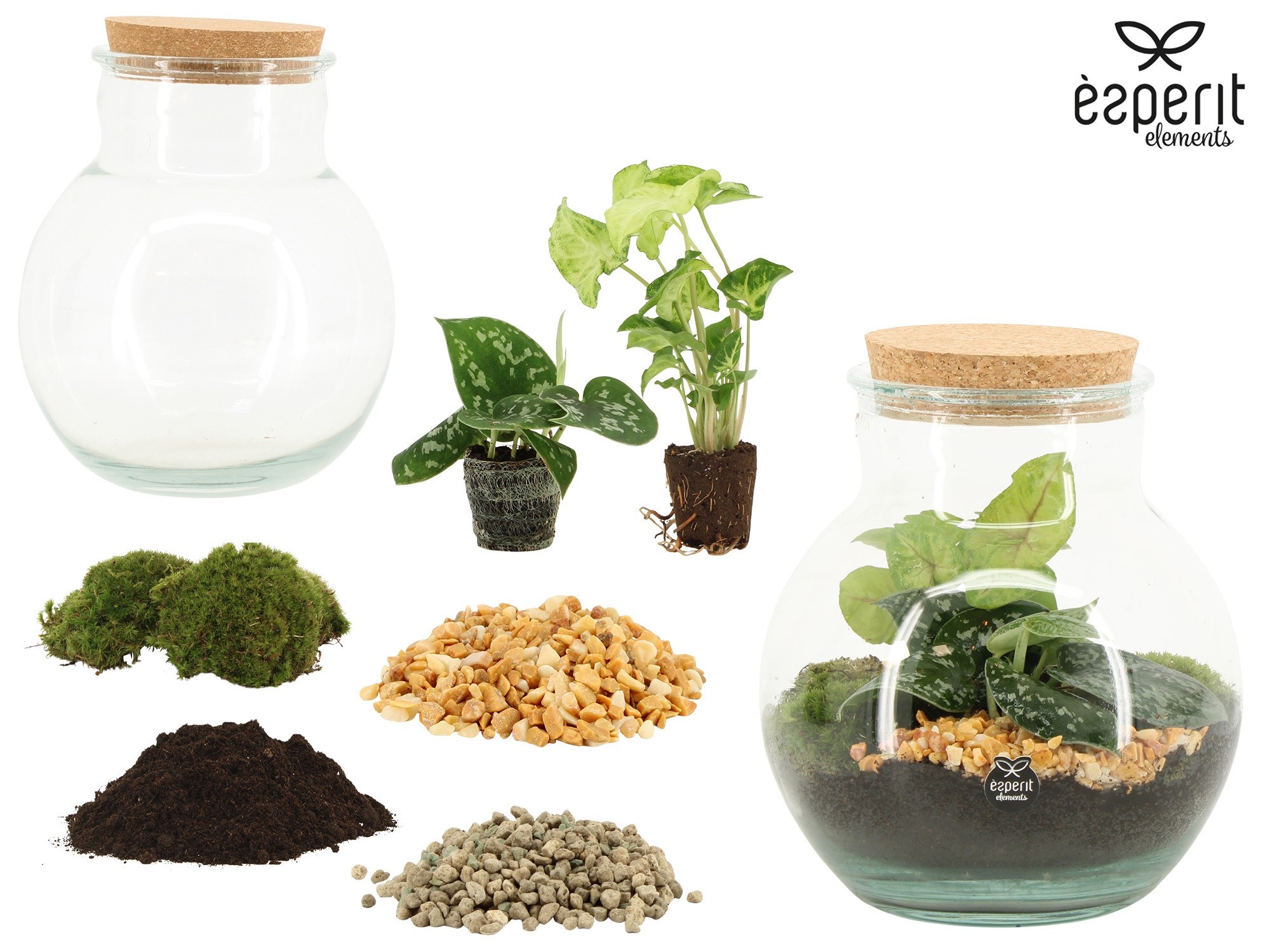 90863: DIY Terrarium arrangement, D 20 cm 90863: DIY Terrarium arrangement, D 20 cm