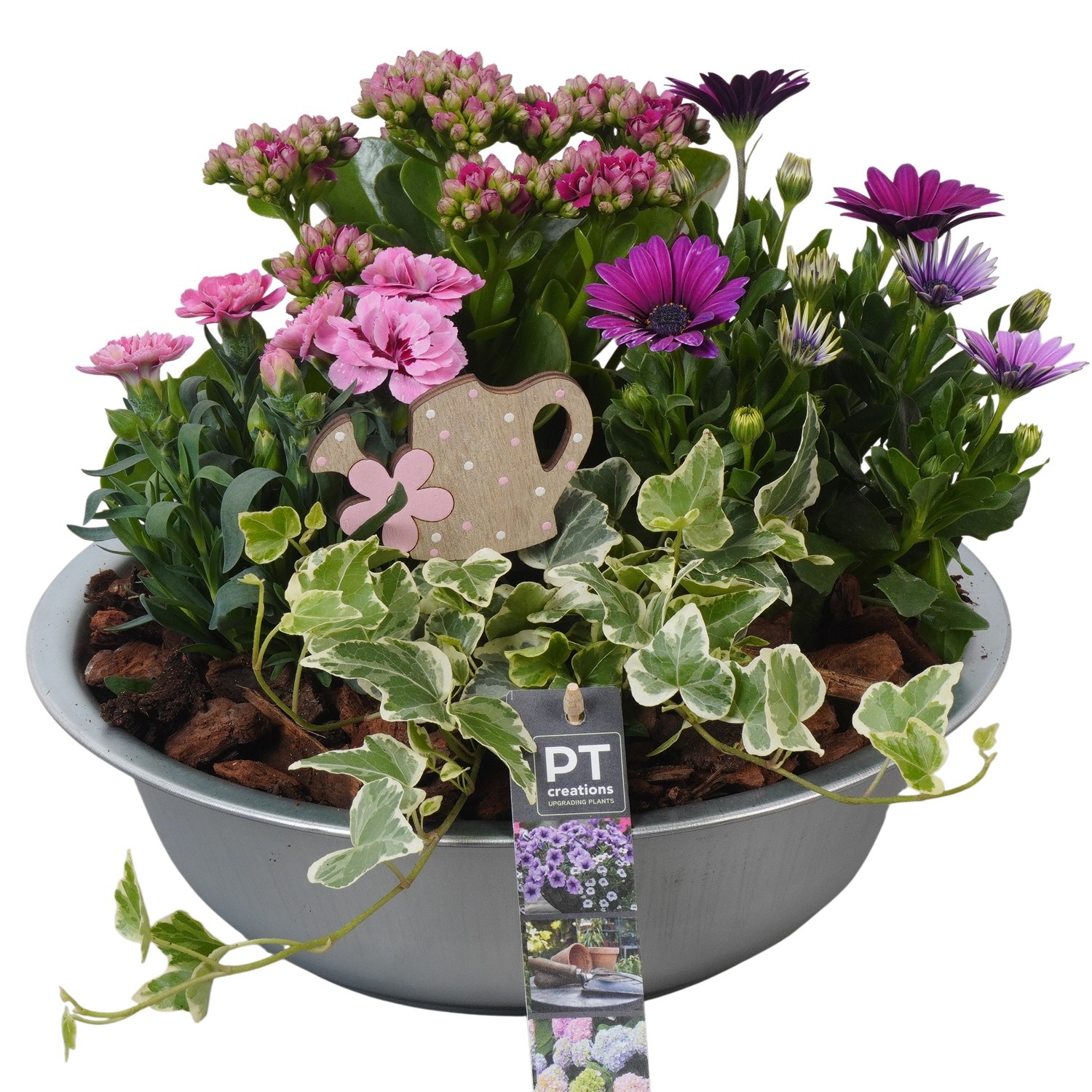 PTPP6856 Arrangement Patio in metalen schaal, D 29