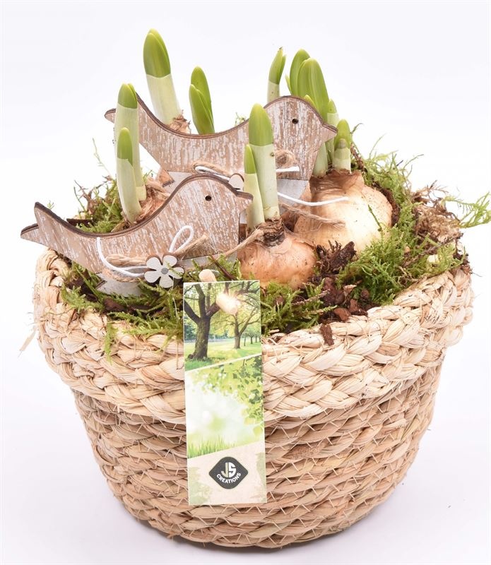 Touw schaal met rand 18cm, D 18