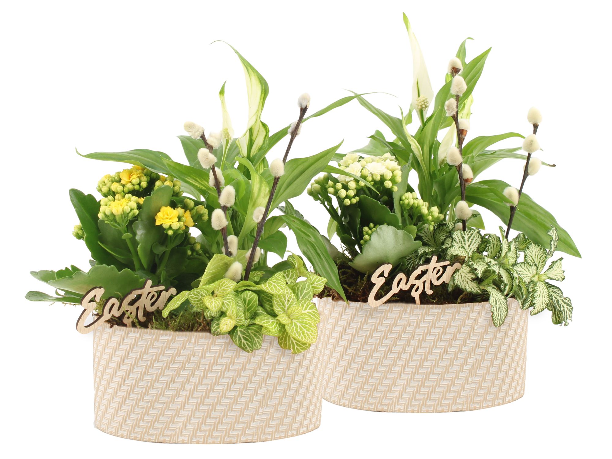 70800: Easter arrangement, D 17