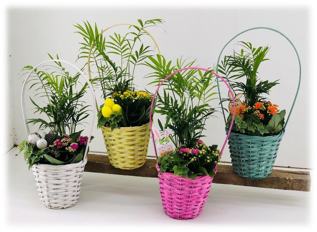 TDM PASEN 26 : Hengsel mand met diverse planten, D 13