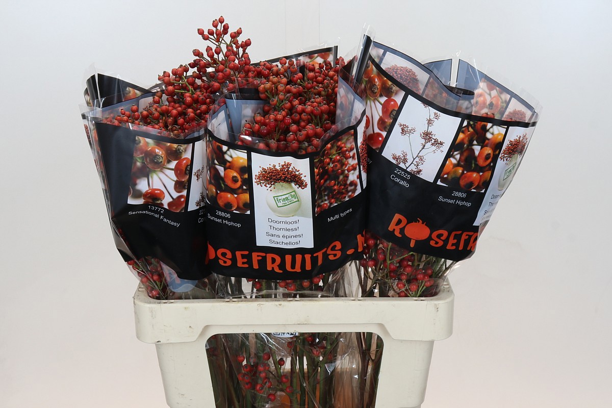 Рузботель Отем Флаш 60, шт.