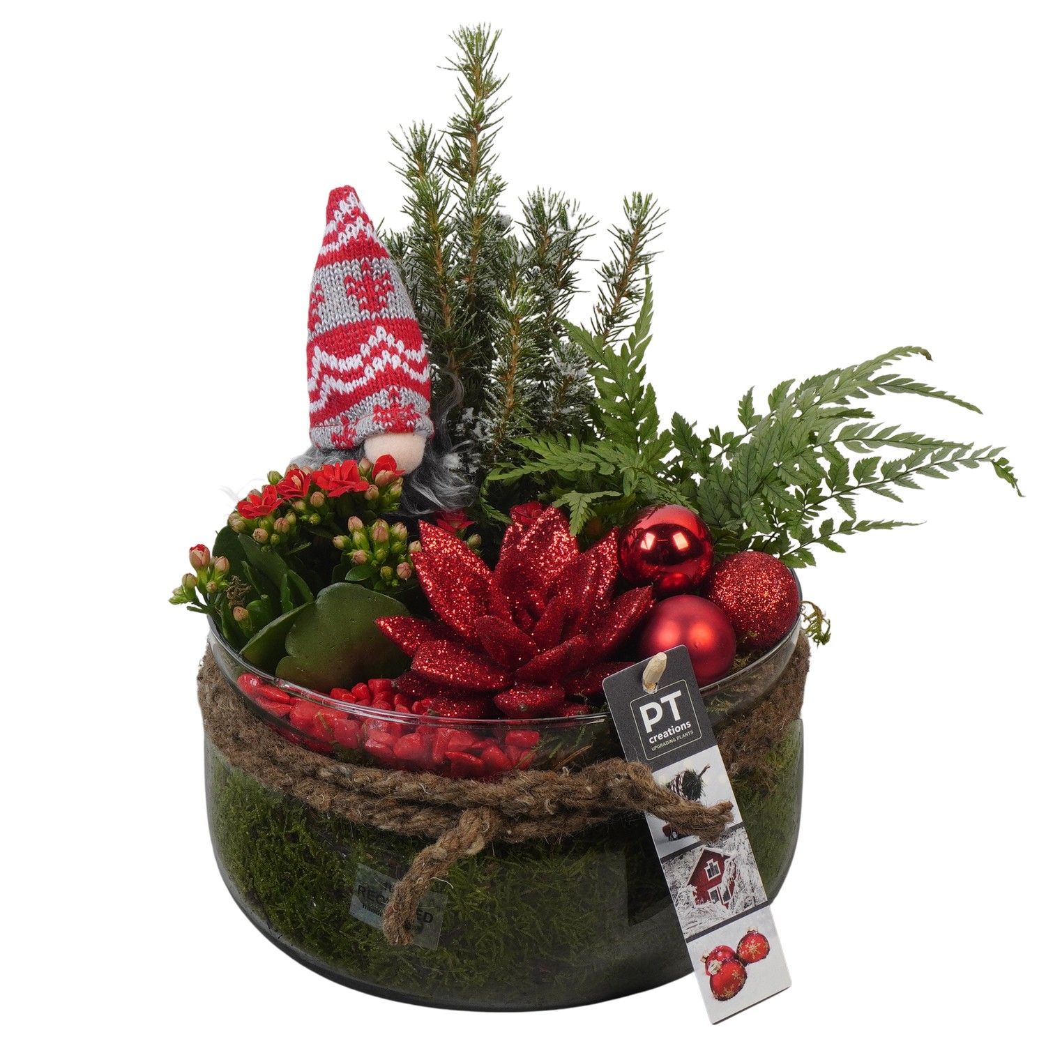 PTCHR7447 Arrangement Christmas Red in glas schaal, D 19 cm