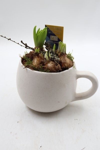 Bollen, keramiek kop wit, D 15