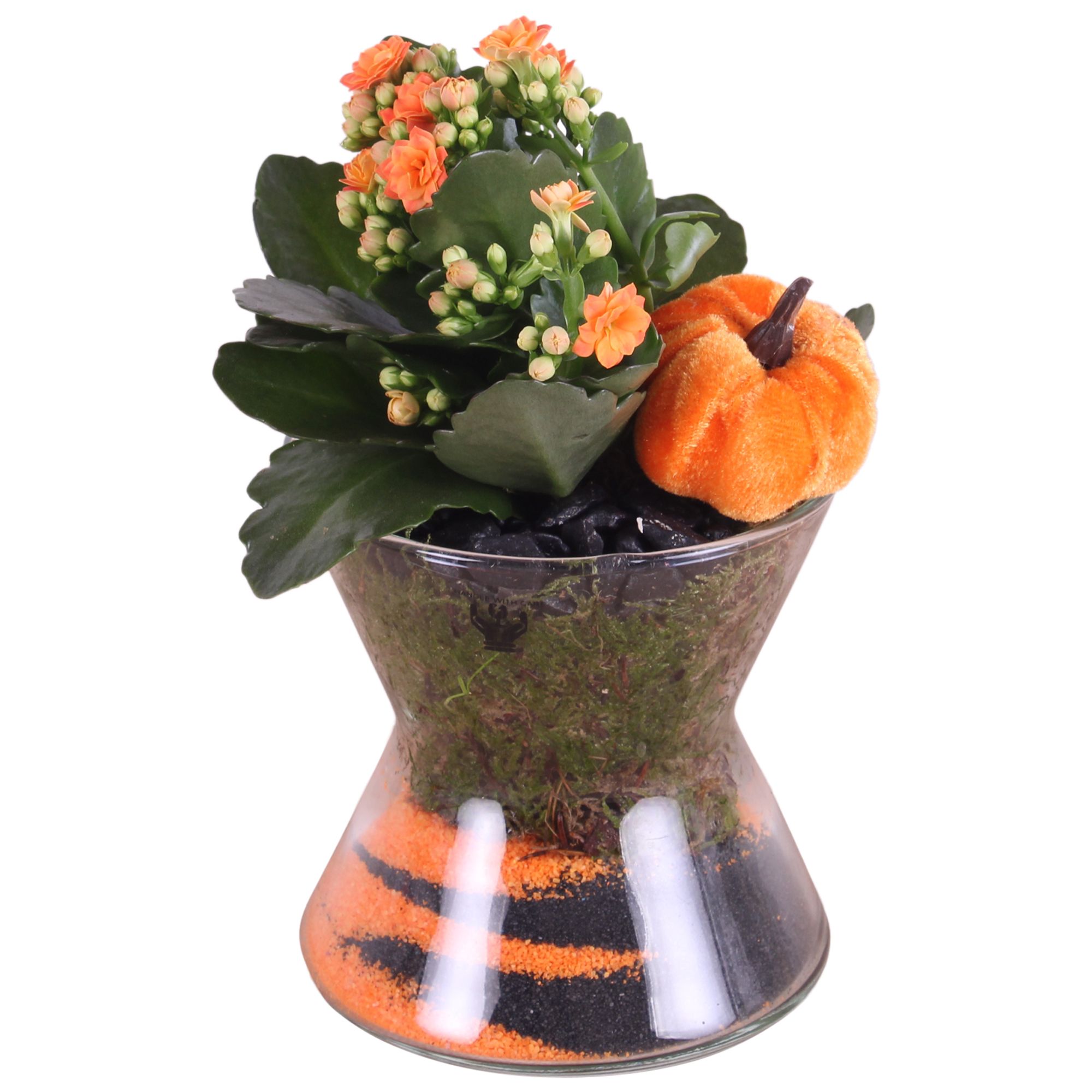 Halloween Arr. Indoor Glass Diabolo Ø13cm 1PP, D 13 cm Halloween Arr. Indoor Glass Diabolo Ø13cm 1PP, D 13 cm