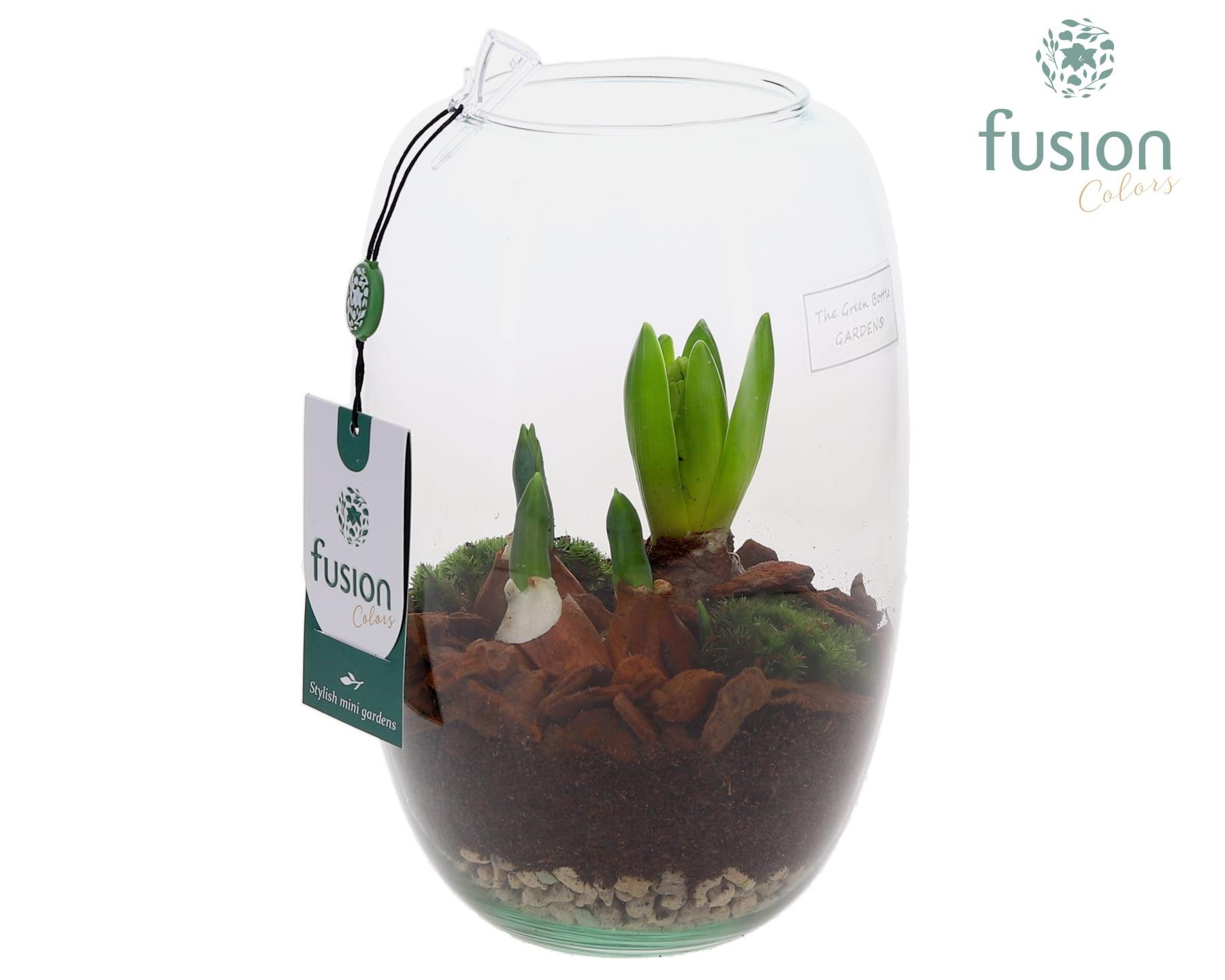 Green Bottle Isabella Small met Bollen mix, D 15