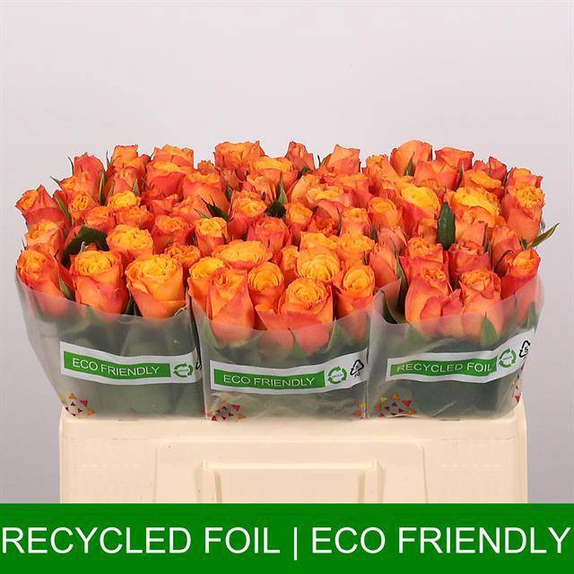 Роза од. Конфиденшиал 50, шт.