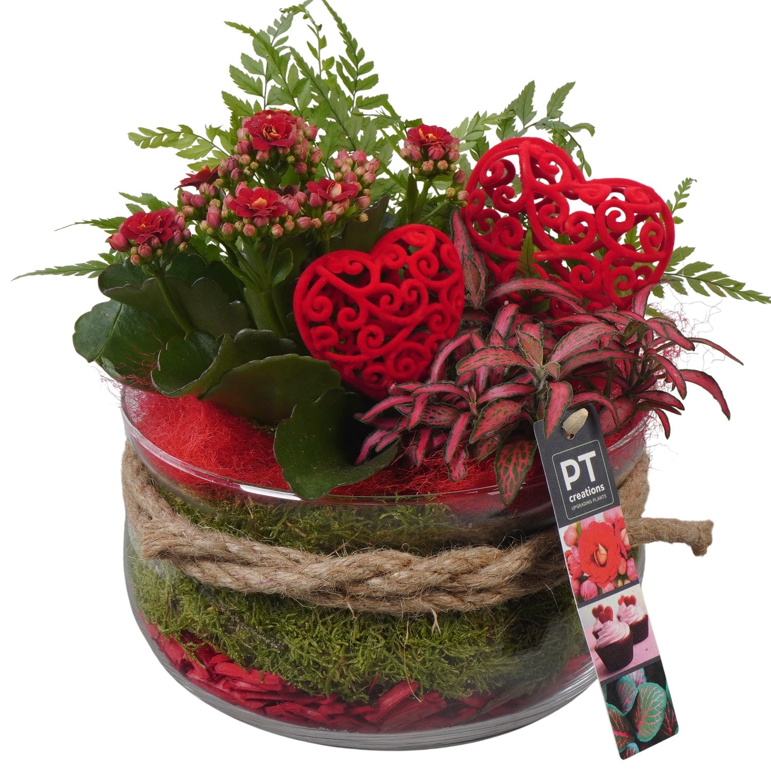 PTVMG4904 Arrangement Valentines-Mothersday in glas schaal, D 19