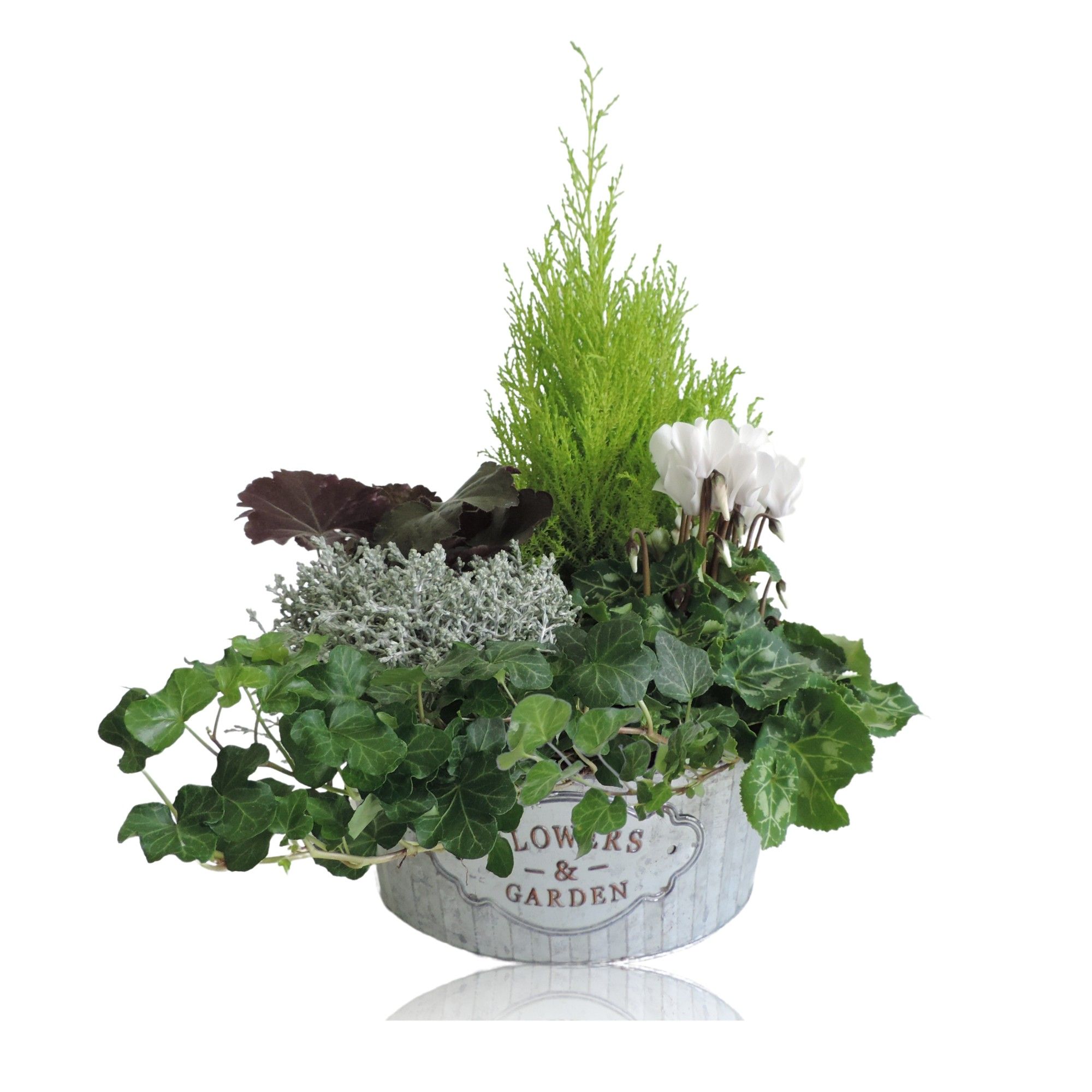 Collectie Dex Arrangement in Zinken Schaal 25 cm, D 25